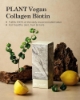 Plant Vegan Collagen Biotin Sachets