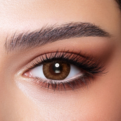 صورة BELLA ONE DAY CONTACT LENSES (ALMOND BROWN)